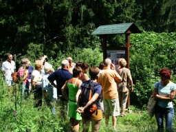 turistickastezka15