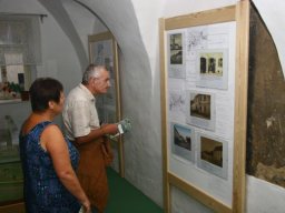 modelmesta15