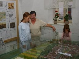 modelmesta16