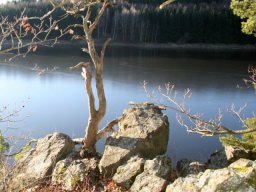 Medovina200904