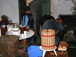 posezeni20102