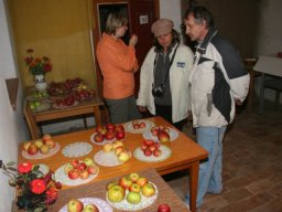 posezeni201020
