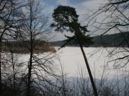 medovina03