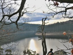 IMG_0706